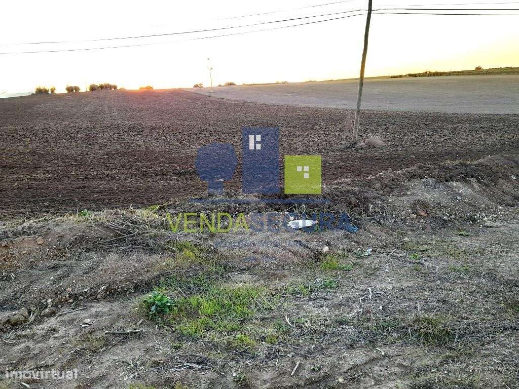 Terreno Rústico em Peroguarda com 2,8 ha | Potencial de Construção - Grande imagem: 5/7