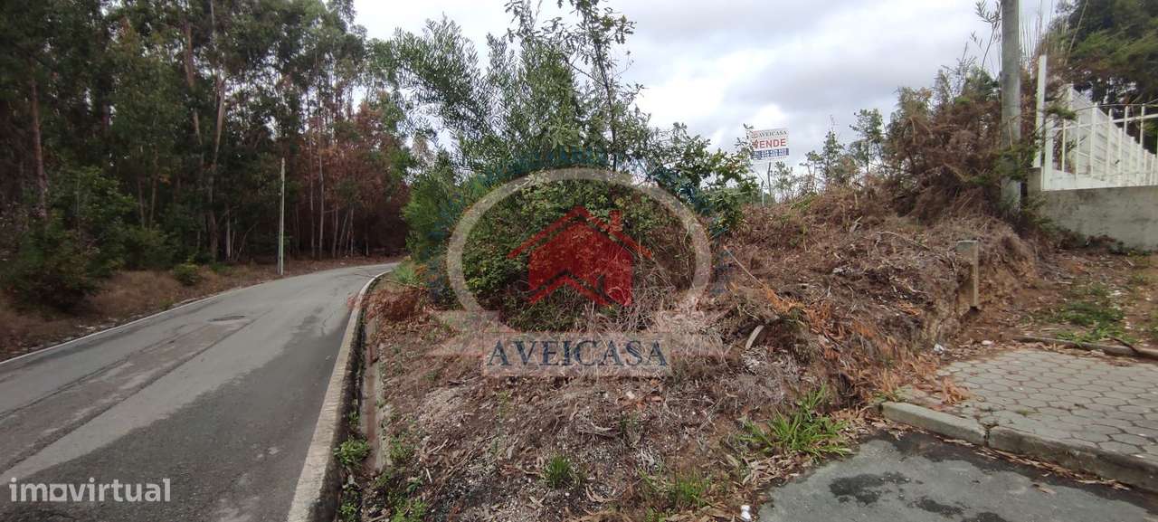 TERRENO PARA ARMAZÉM - Grande imagem: 4/7