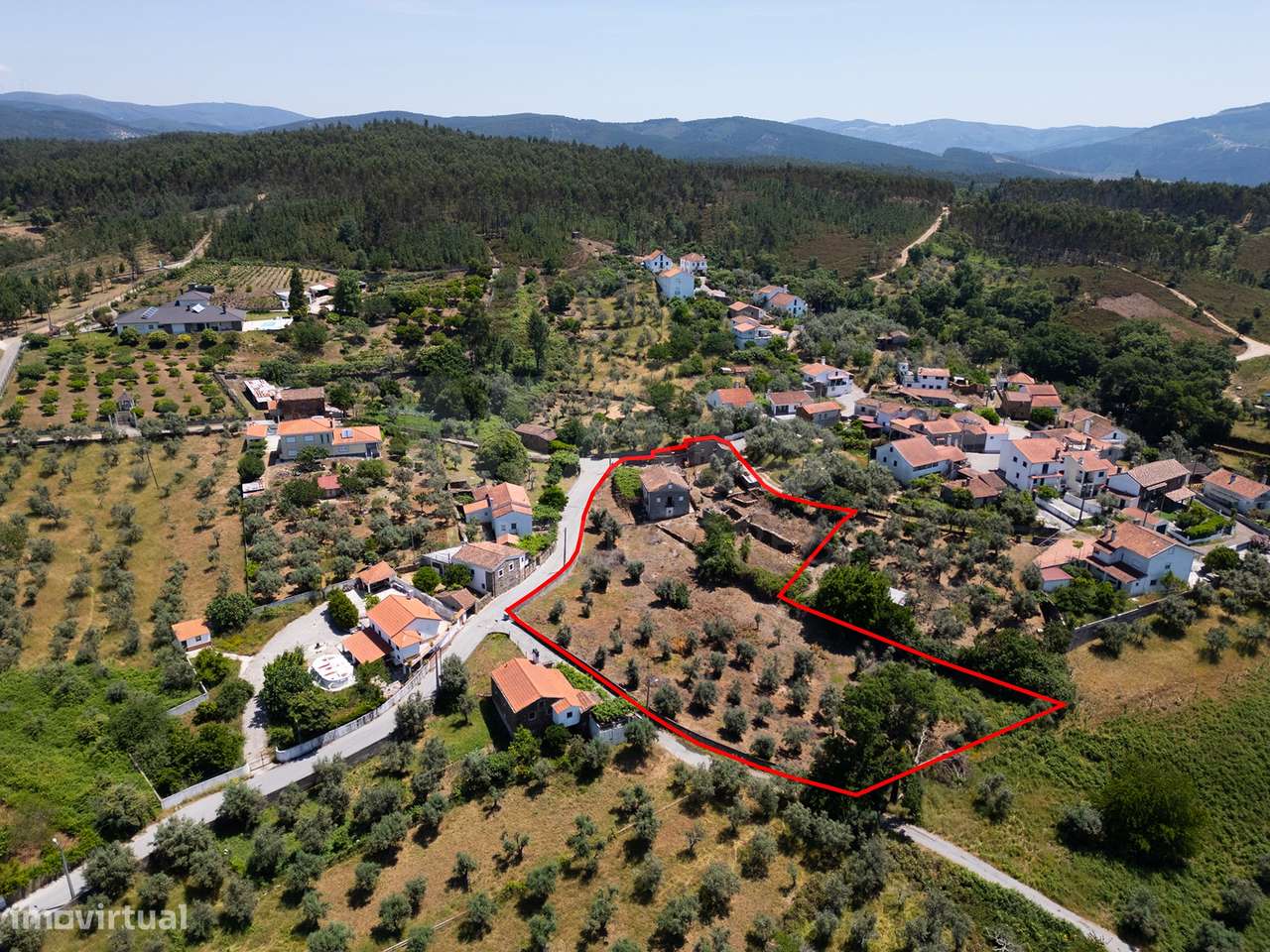 PROPRIEDADE DE CARÁTER NA N2 | 400 m² DE CONSTRUÇÃO, OLIVAL E POTEN...-11