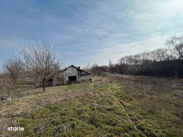 Poienarii Apostoli Gorgota 9500 mp teren intravilan - Imagine principală: 4/20