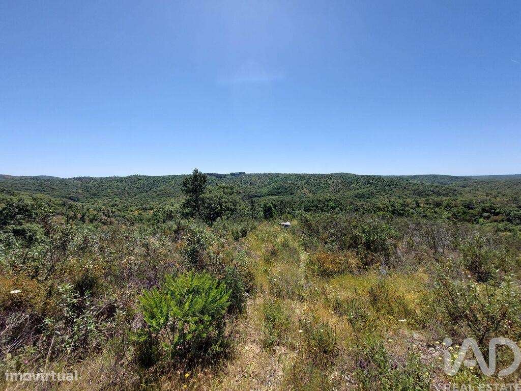 Terreno em Melides de 248300,00 m2 - Grande imagem: 2/13