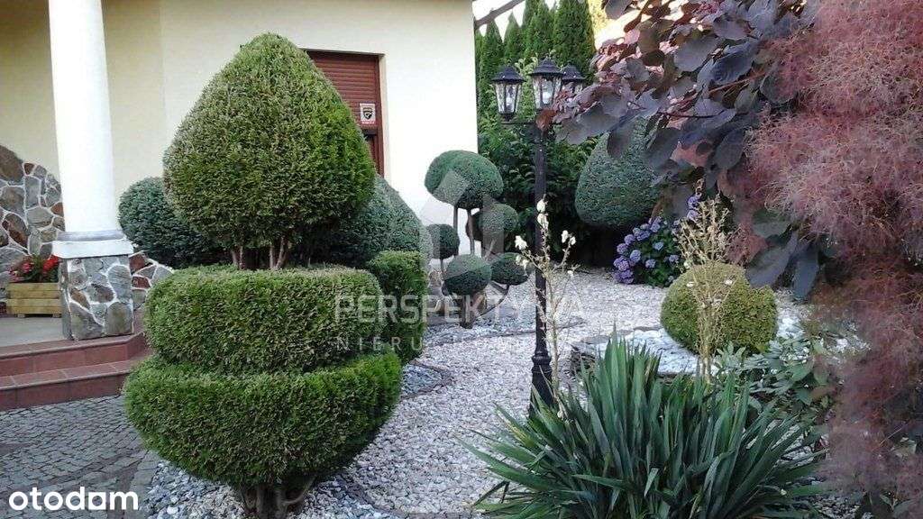 Dom Z Pięknym Ogrodem-Jędrzychów, Zielona Góra-16