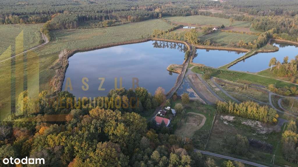 Na sprzedaż kompleks stawów w Miłowicach-6