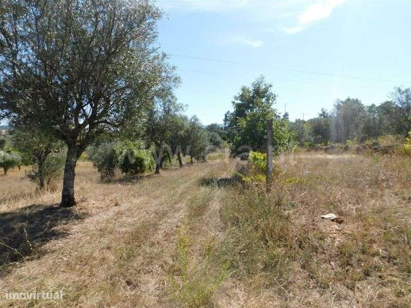 Terreno / Fundão, Capinha - Grande imagem: 2/5