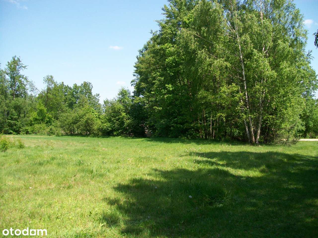 Zrębice gm.Olsztyn 0,375.ha , 1.2ha-5