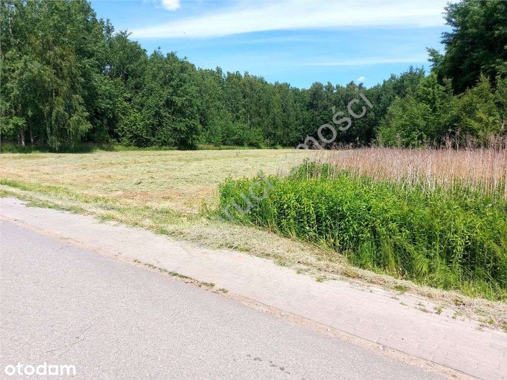 Piękne działki przy lesie - Pełny obrazek: 4/10