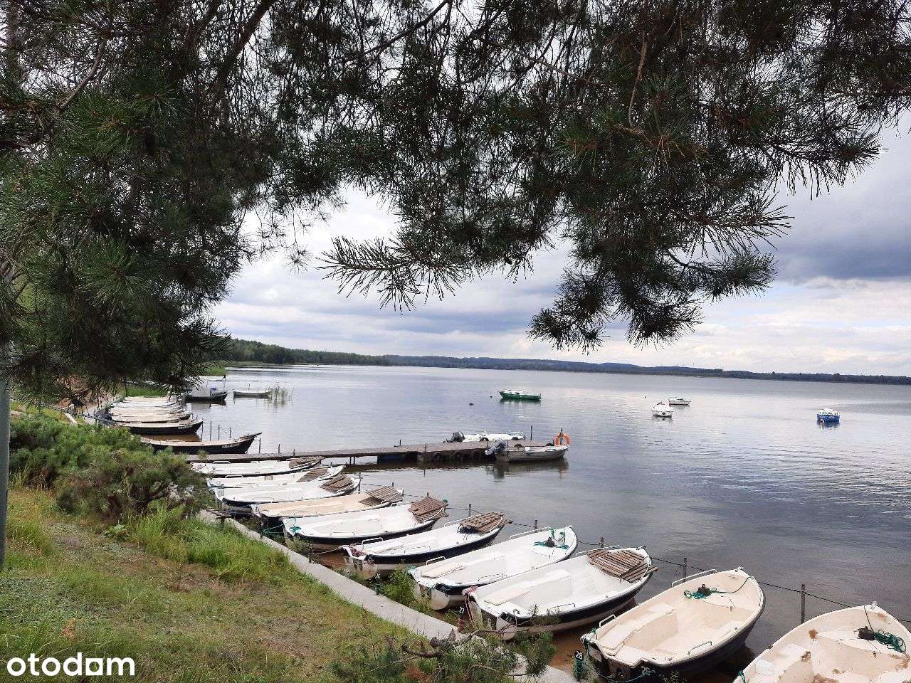 działka rekreacyjna, UZBROJONA, blisko zalewu i lasu - Pełny obrazek: 5/10