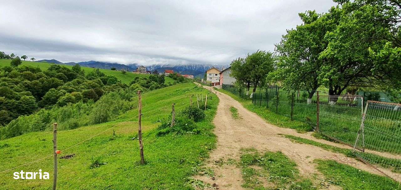 Teren casa de vacanta , Pestera , Brasov-7