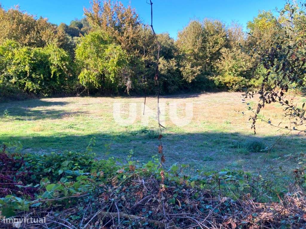 Quinta - Rodeada de Natureza-49