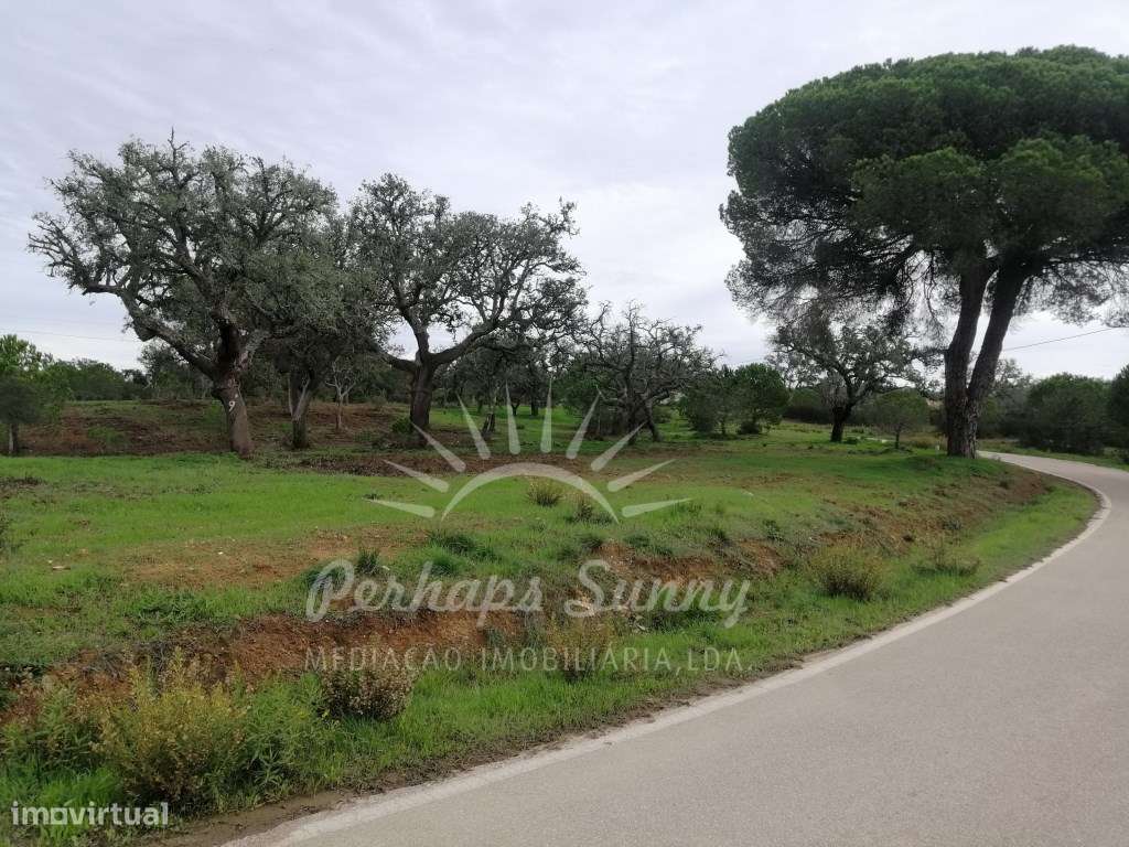 Terreno Rústico em Sobreiras Altas - Melides - Grande imagem: 2/11