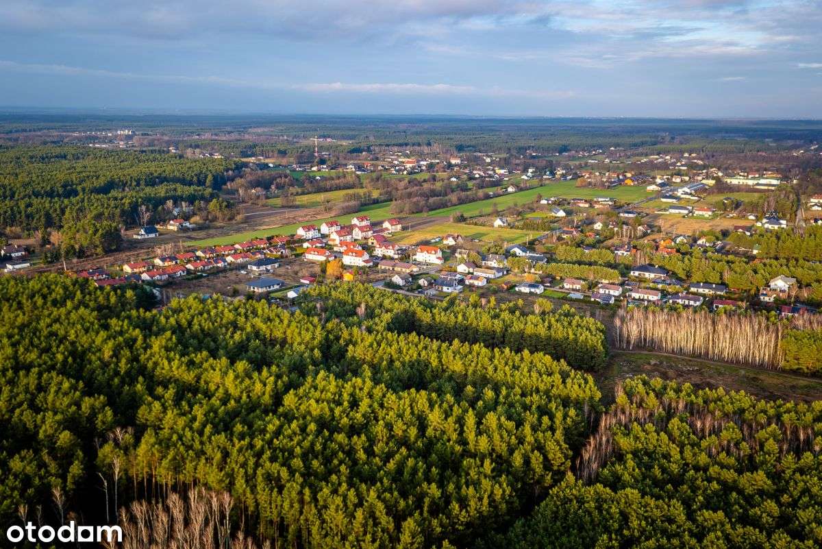 Duża działka częściowo zalesiona niedaleko jeziora-8