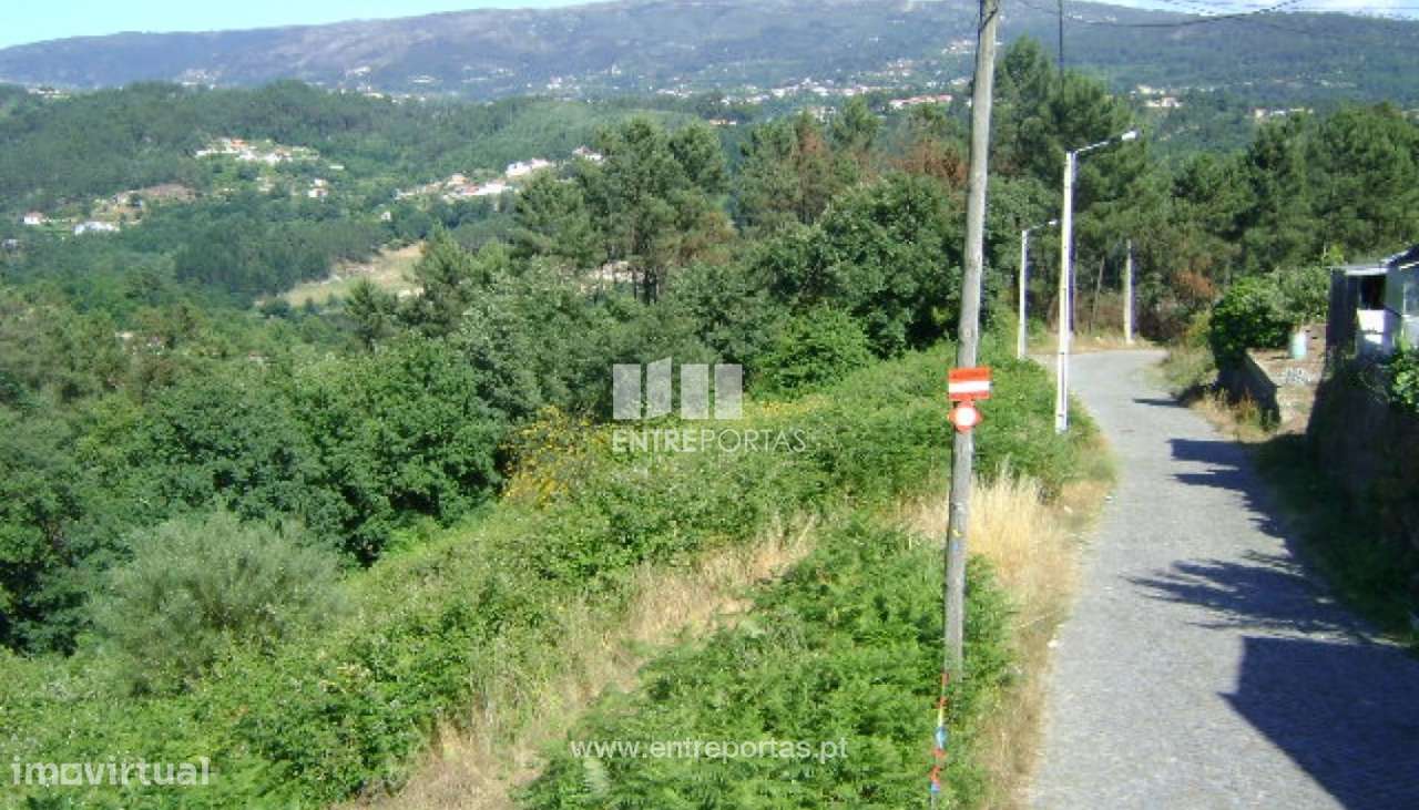 Venda Terreno, Santo Isidoro, Marco de Canaveses - Grande imagem: 4/7