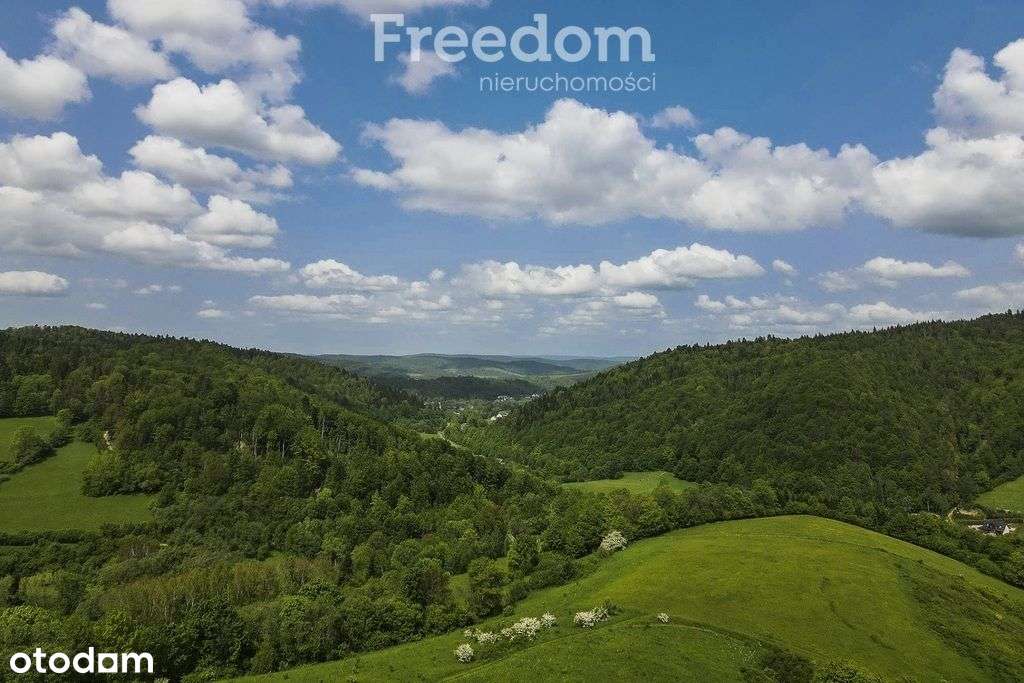Działka na stoku, Mchawa, Bieszczady - Pełny obrazek: 5/13