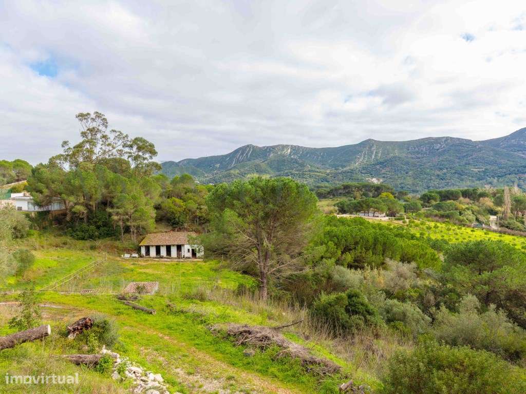 Quinta do Levante: Refúgio de Luxo com Projeto Aprovado no Coração ...-27