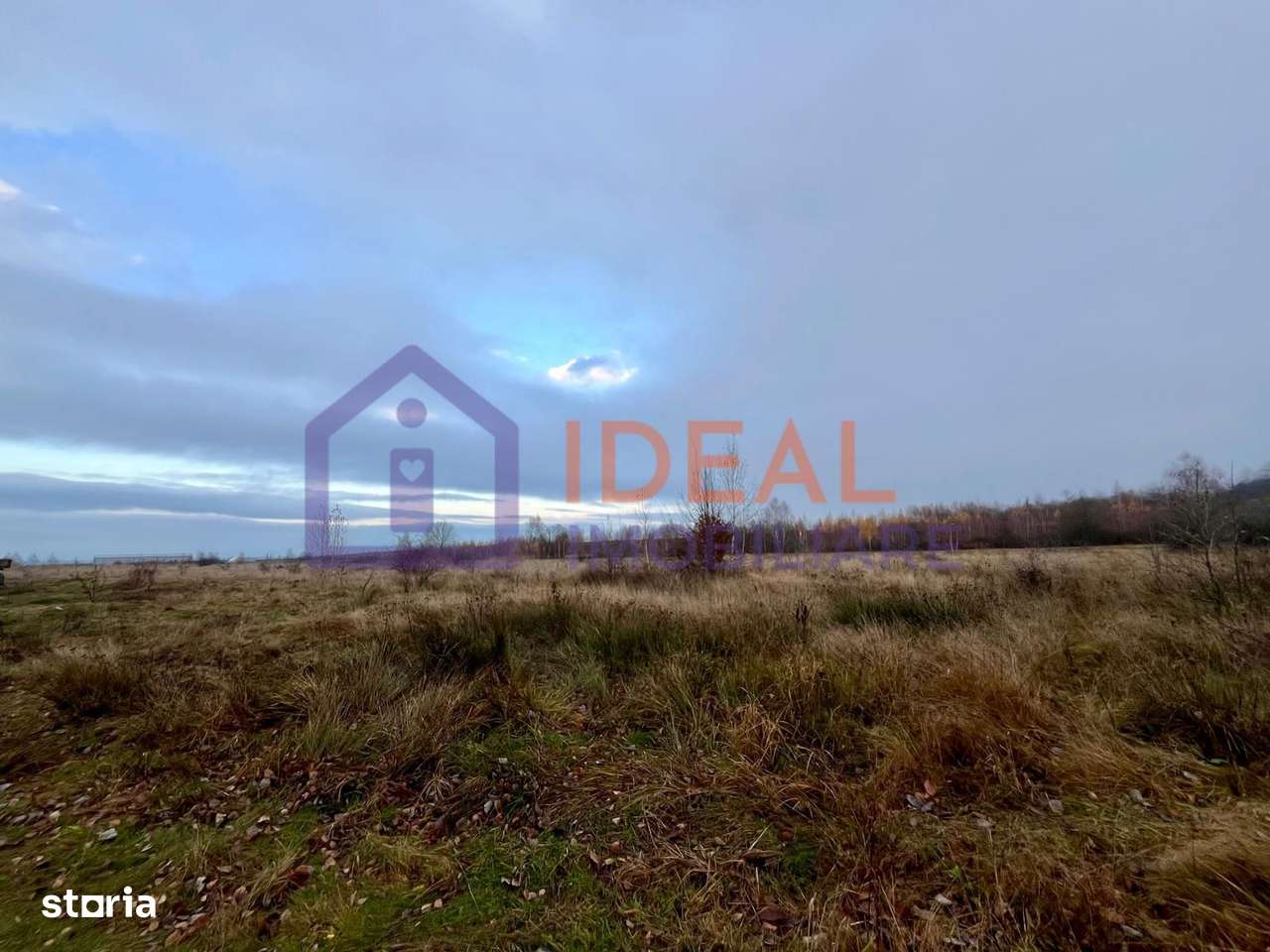 Teren extravilan 6.500 mp – două căi de acces, Cârțișoara-3