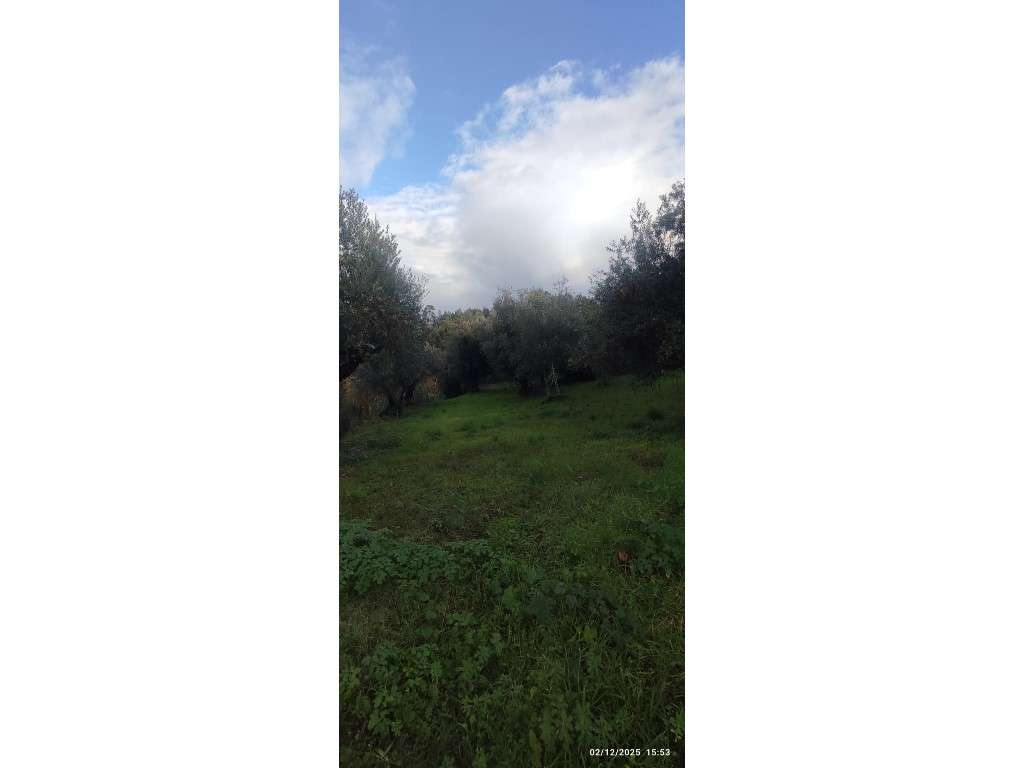 Casa para restauro com 6000m2 de terreno, localização única entre a...-16