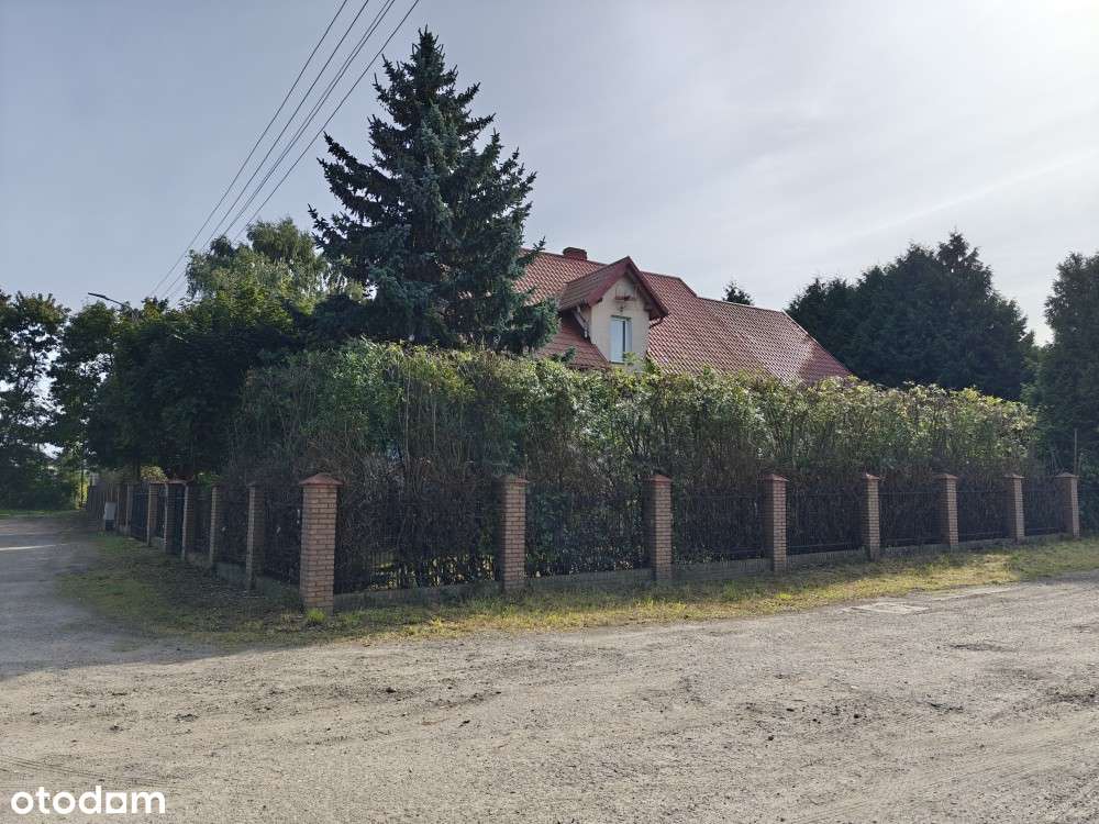 Duży dom 300m2 z piękną działką 1386m2, między Gdańskiem i Tczewem - Pełny obrazek: 4/20