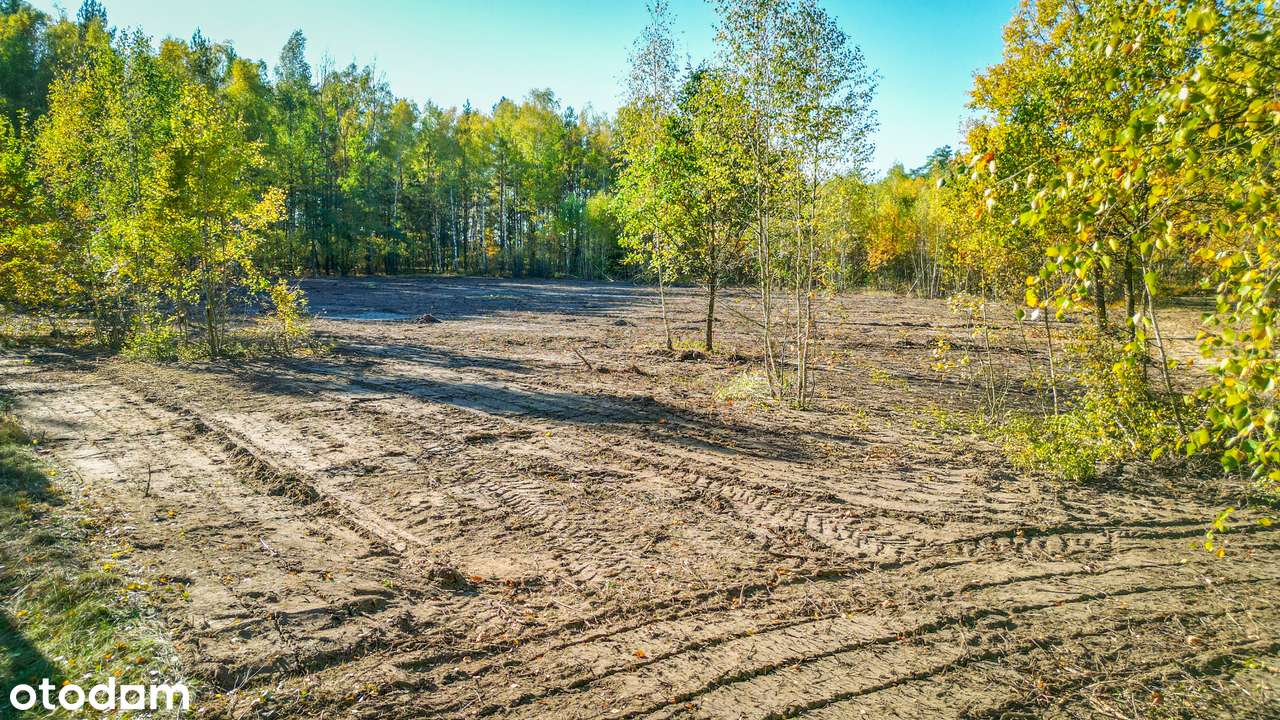 Wyjątkowe działki budowlane w lesie z MPZP i wodą - Pełny obrazek: 4/4