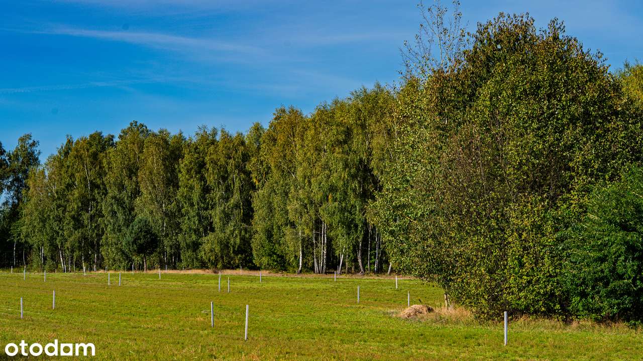 Jezioro Piaseczno-działki blisko plaży Pojezierze Łęczyńsko Włodawskie - Pełny obrazek: 5/8