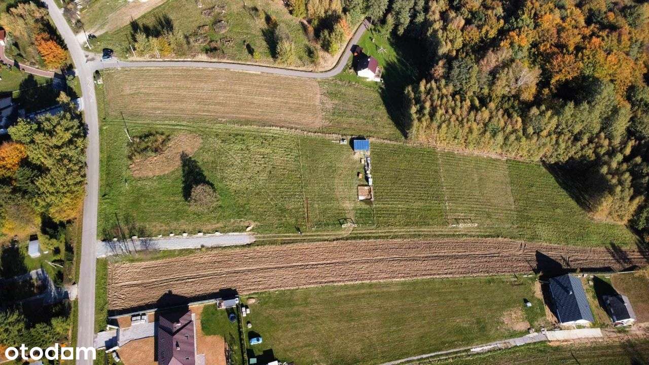 Borówki-Lasek, działka z WZ przy drodze powiatowej-4