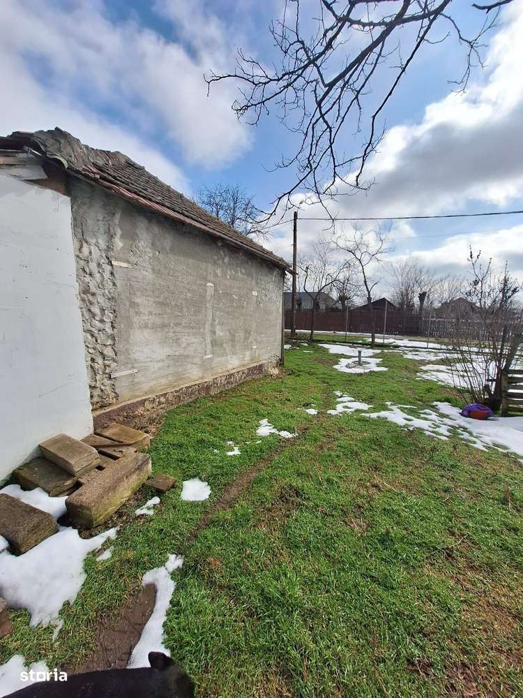 Casă 3 Camere Aprozi, 2420 mp Teren, Grădină Eco, Solar, Anexe-1