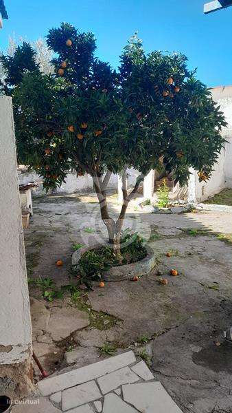 Moradia T3 em S.Pedro do Corval-18