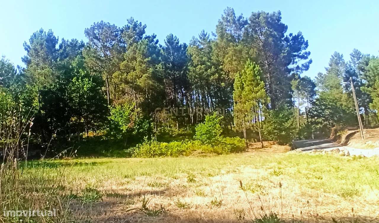 Quintinha em zona de construção H2  a 7 min centro Viseu - Grande imagem: 3/13