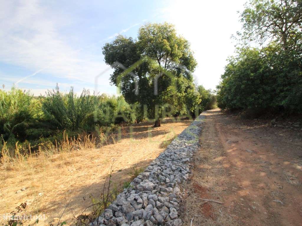 Terreno Rústico com Vista Panorâmica em Estoi - Grande imagem: 2/7