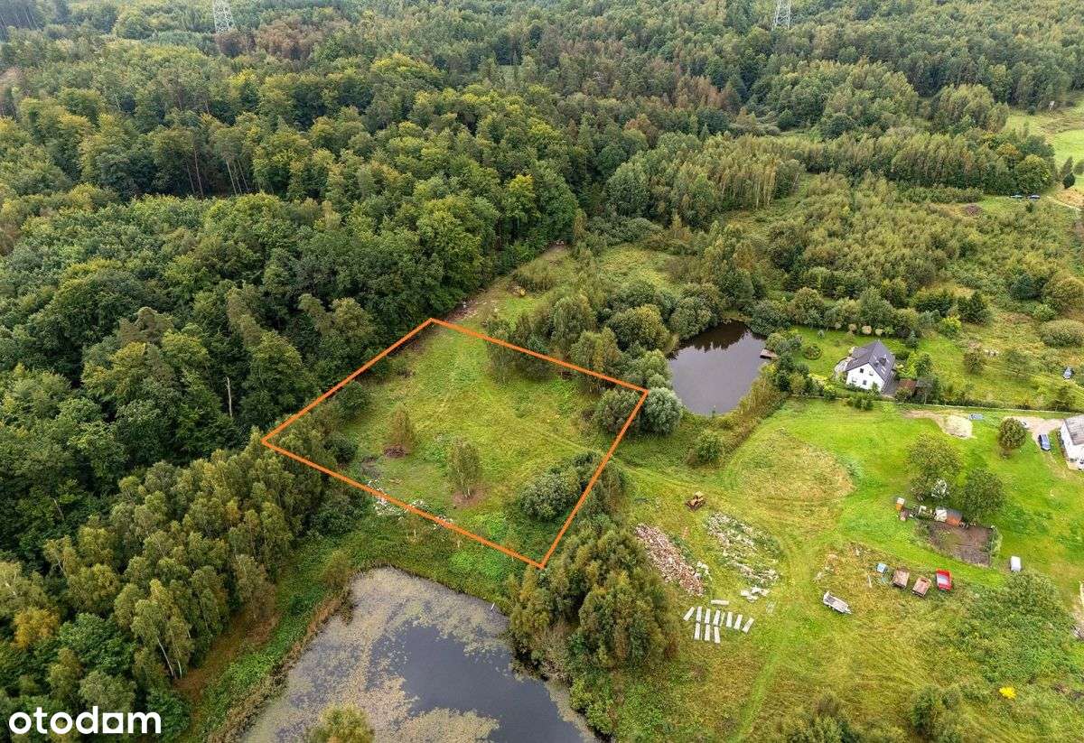 Duża działka przy lesie z widokiem na staw / WZ-2