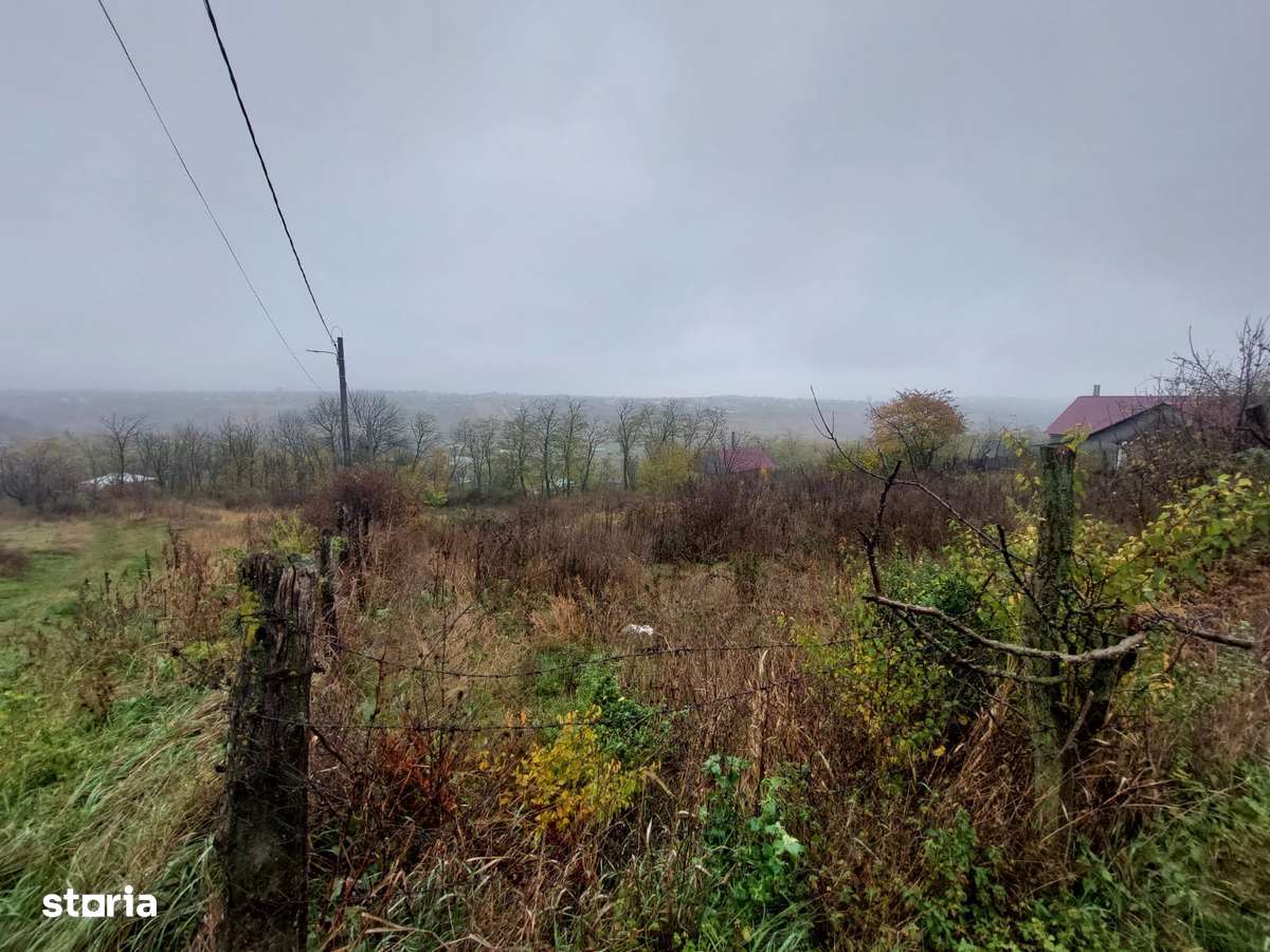 Teren intravilan Popricani-2