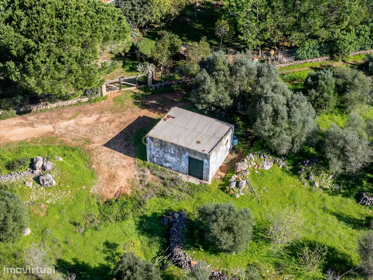 3 Terrenos Rústicos com 3,25 ha – Torre e Cercas, Silves - Grande imagem: 4/12