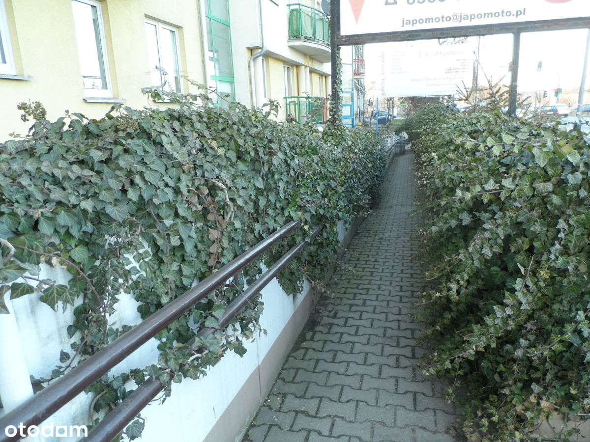 Dolna Wilda, lokal biurowy, handlowy, usługowy.-5