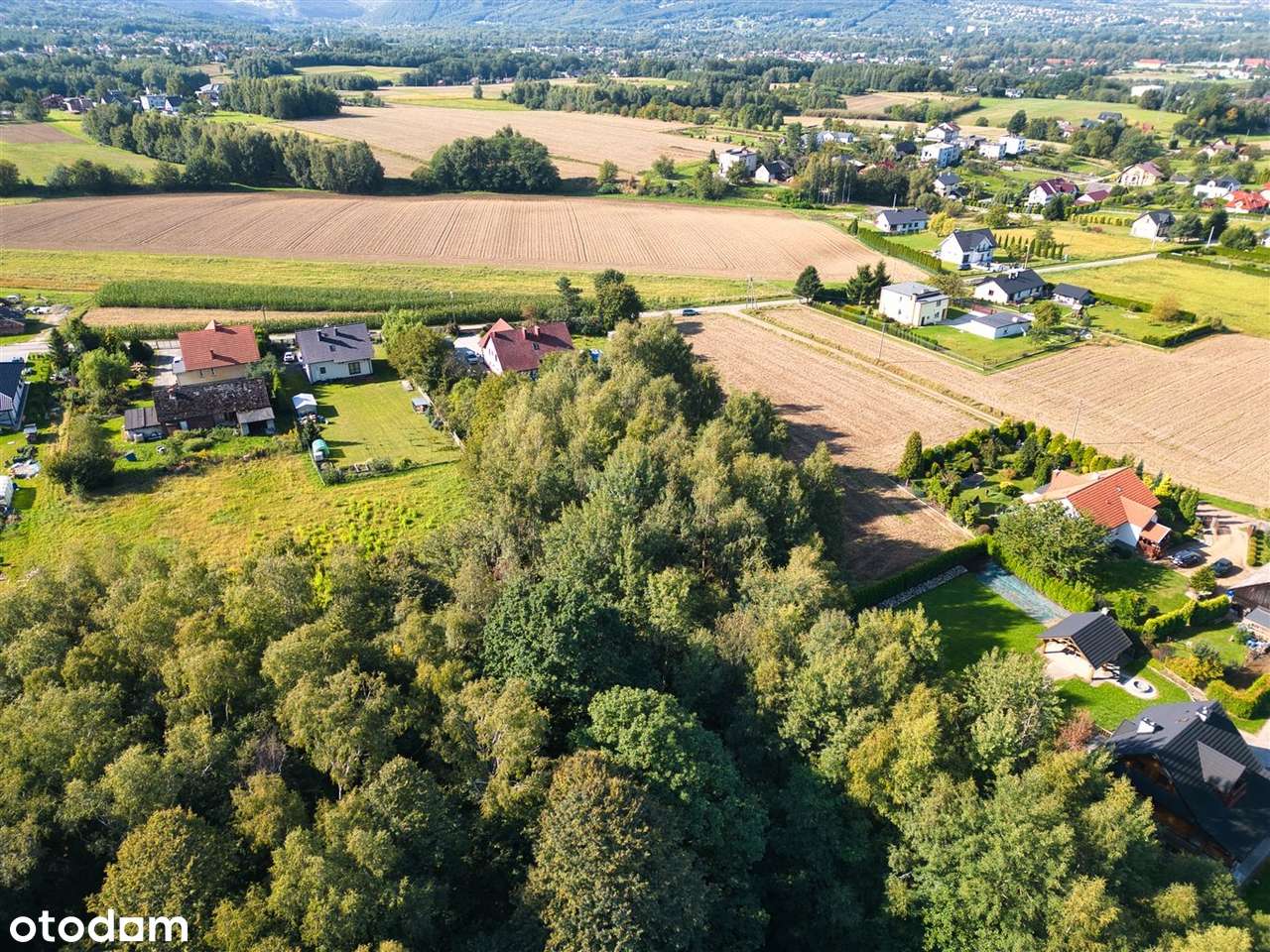Możliwe wydzielenie - Pełny obrazek: 5/11