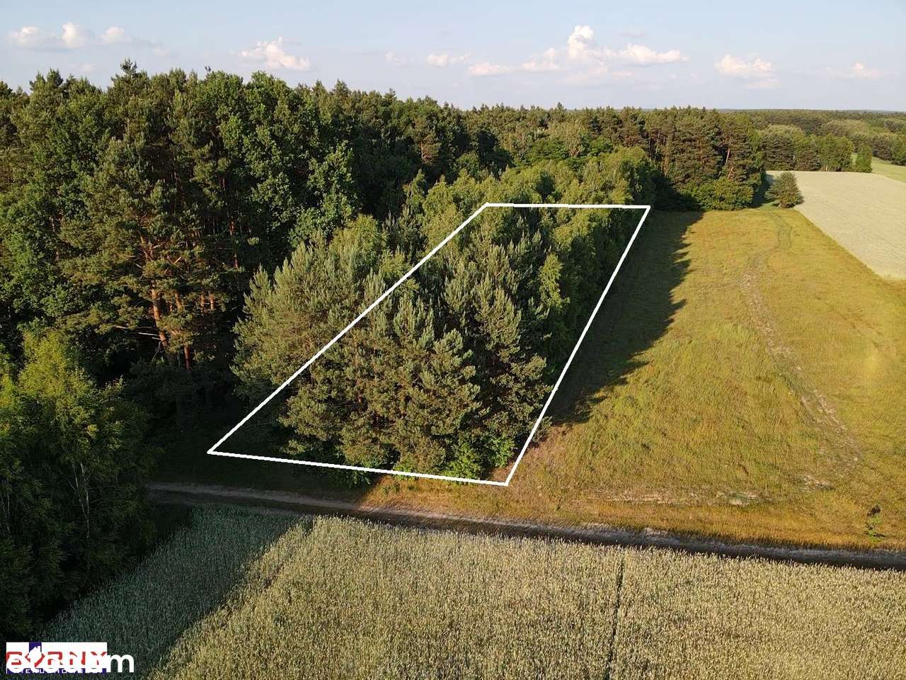 Działka rolna , porośnięta drzewami, Bąkowa Góra-0