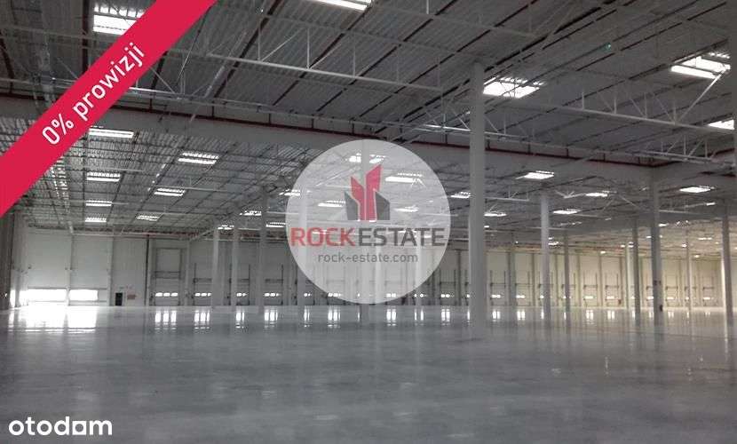 Magazyn 3300 m2 Szczecin - 0% prowizji - Pełny obrazek: 4/7