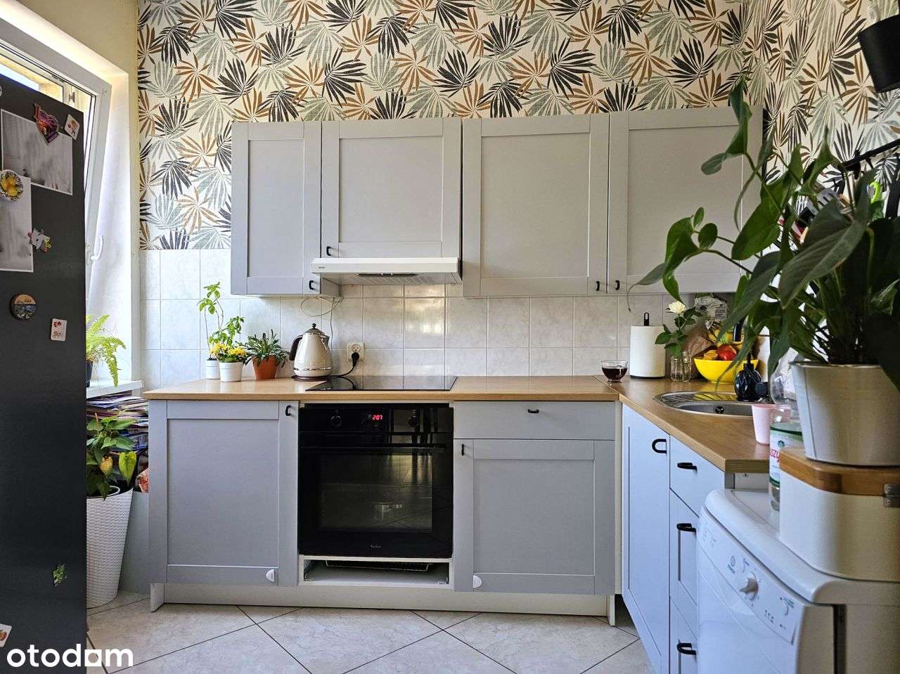 duże mieszkanie z garażem na Kochanowskiego - Pełny obrazek: 5/17