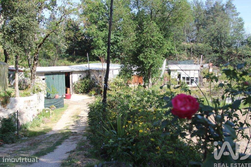 Terreno Agrícola em Oliveira do Hospital e São Paio de Gramaços-17