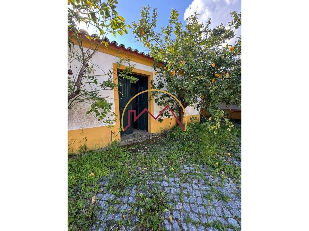 Moradia Senhorial T4 em Reguengos de Monsaraz-35