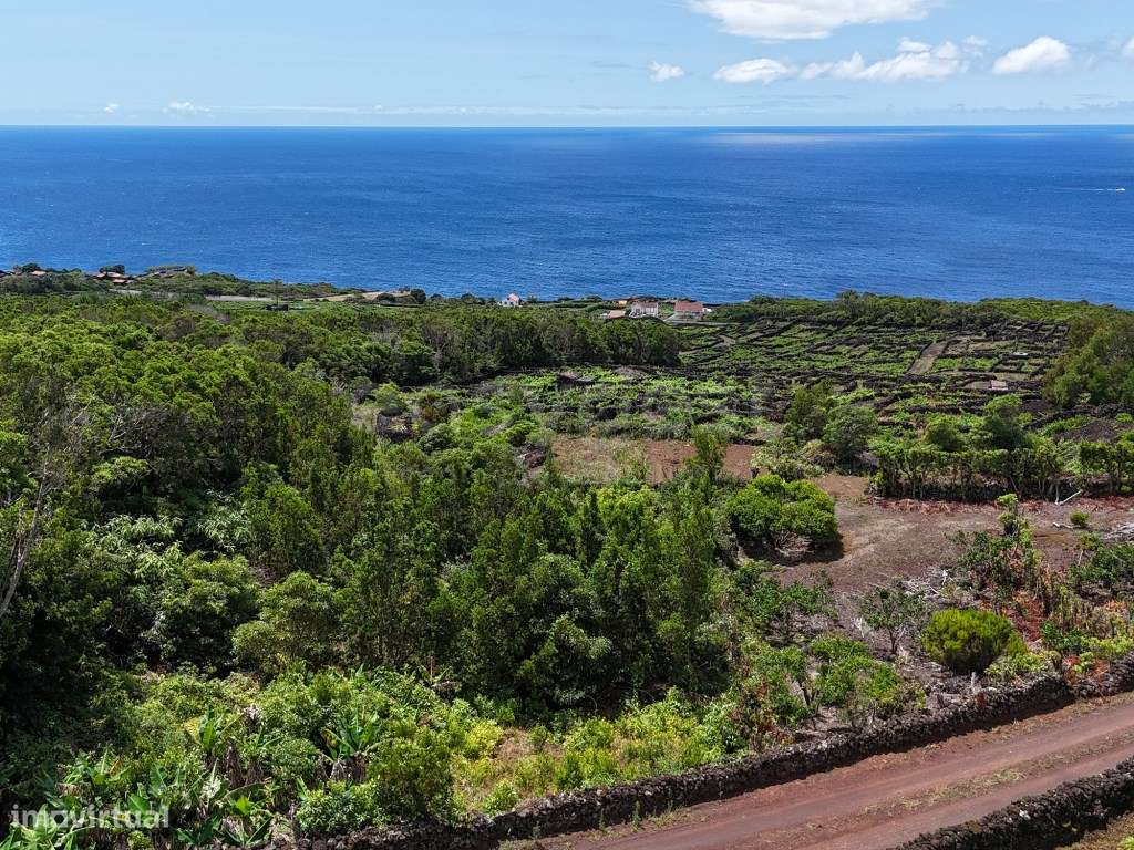 Terreno com Projeto Aprovado para Moradia T4 com Piscina e Vista Mar - Grande imagem: 2/15
