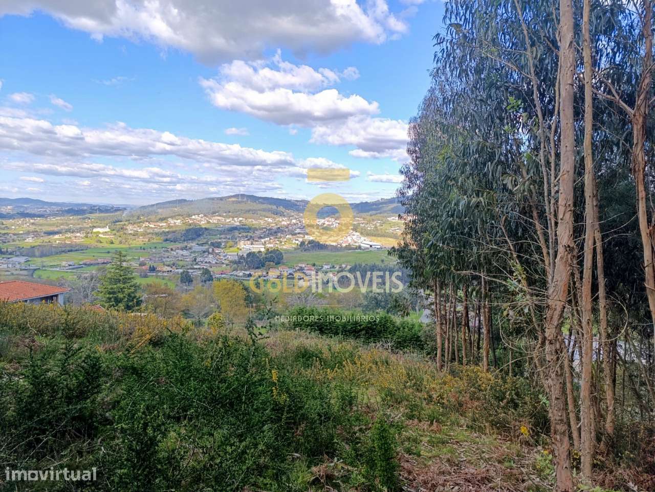 Terreno Rústico  Venda em Galegos,Penafiel - Grande imagem: 4/10