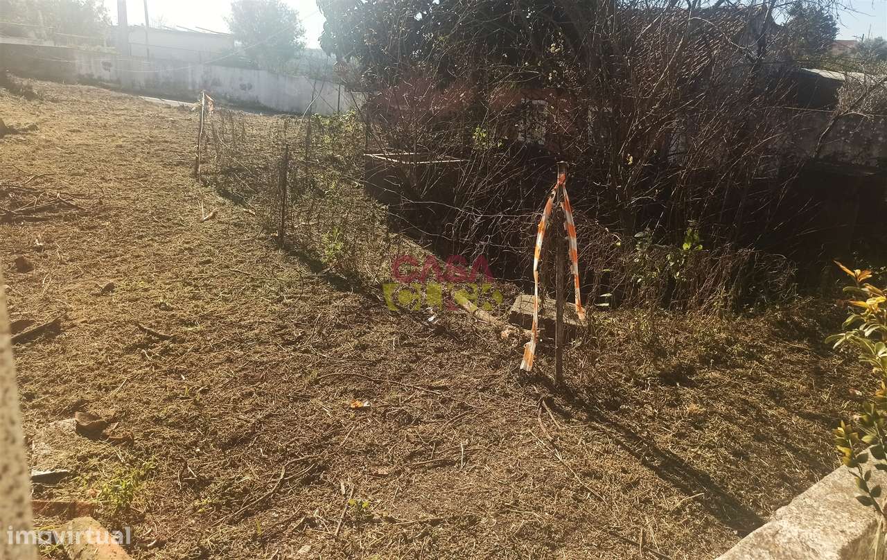 Moradia Devoluta T3 Venda em Torres Novas (São Pedro), Lapas e Ribeira - Grande imagem: 4/17