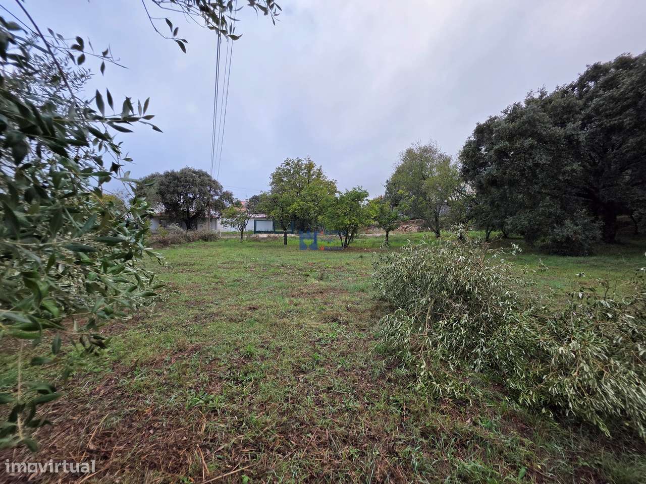 Lotes de Terreno para Construção em Fátima-21