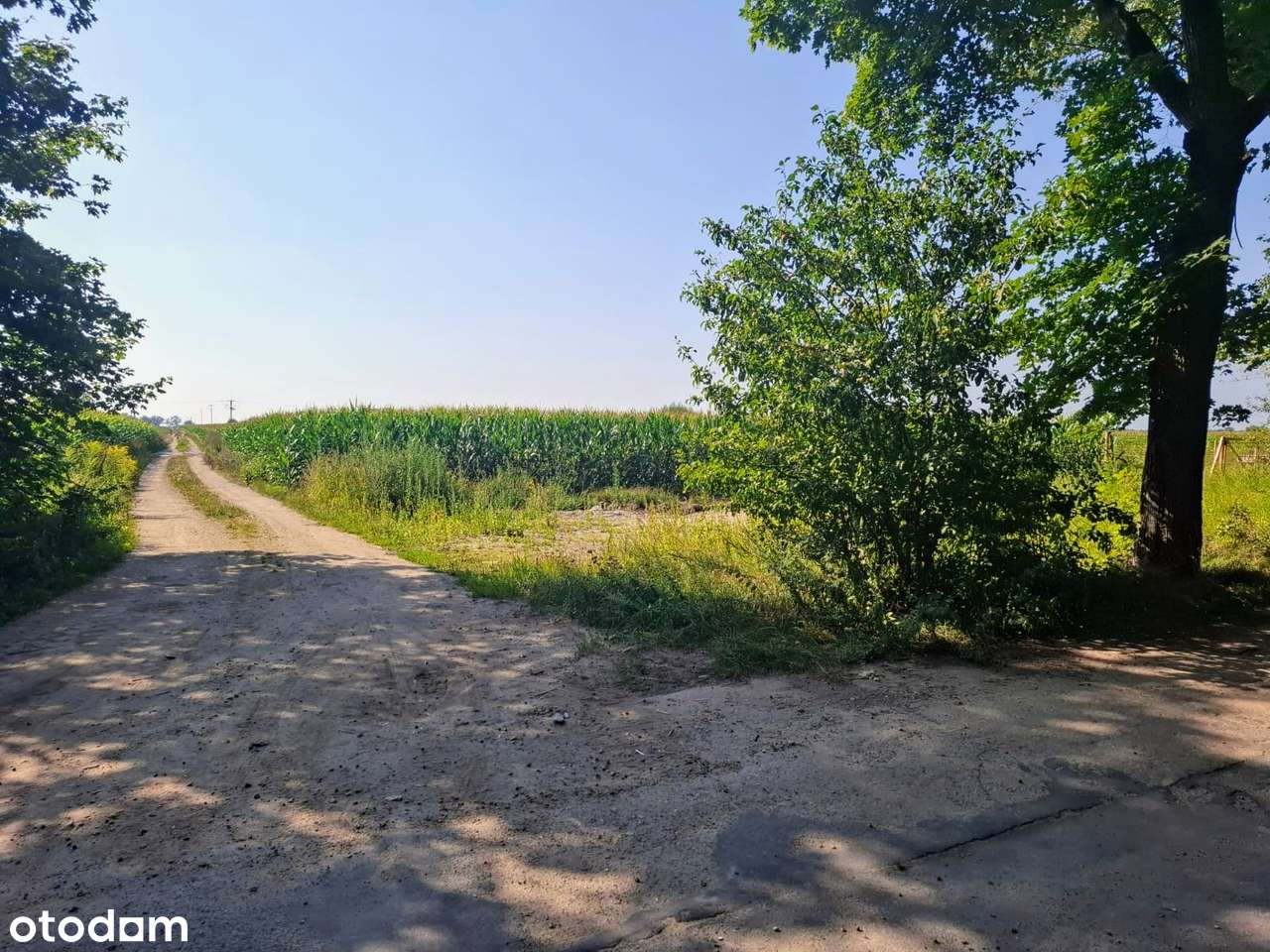 Działka budowlana, Boguszyce, 5 minut od Oleśnicy, dobry dojazd - Pełny obrazek: 2/10