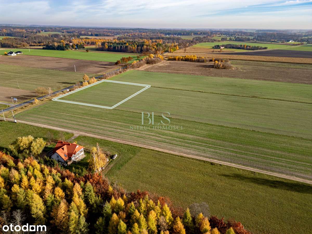 Działka z WZ pod siedlisko – Pniewo, gm. Nasielsk-3