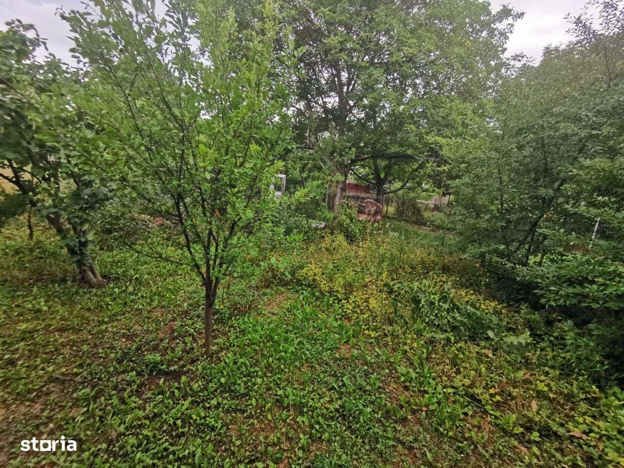 Casa Zamca de vanzare - Imagine principală: 4/6