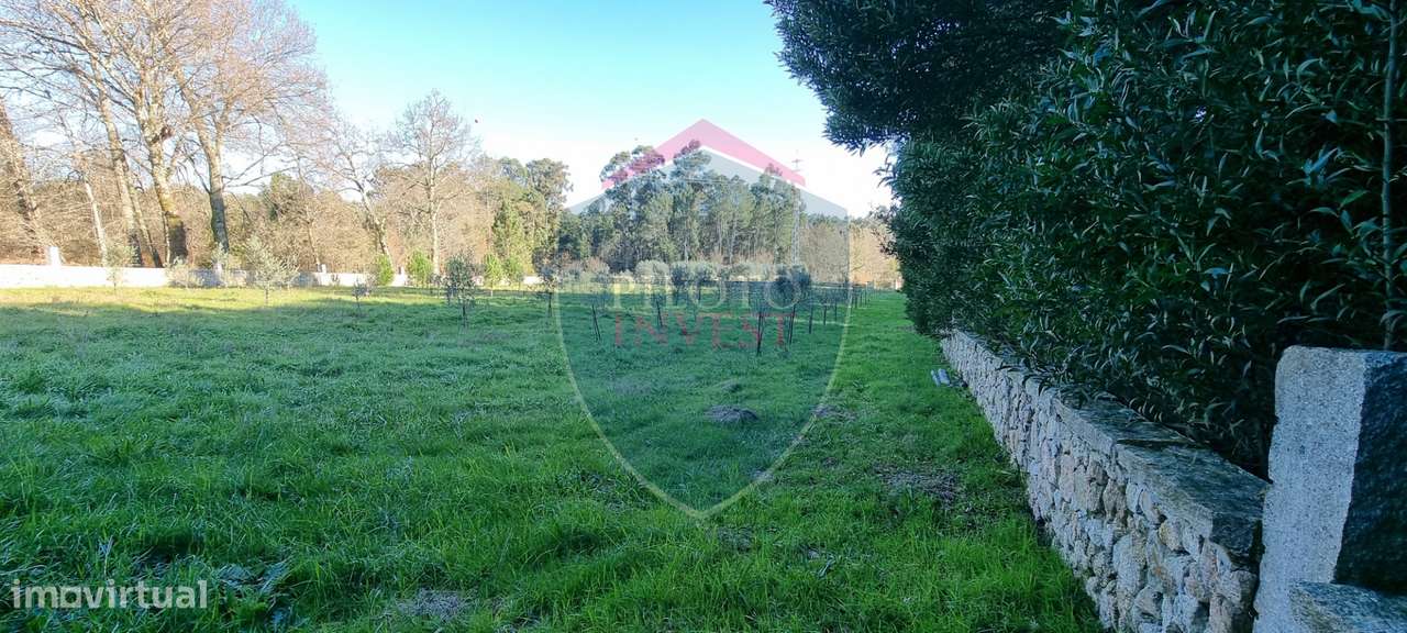 Quinta  Venda em Rio de Loba,Viseu - Grande imagem: 4/10