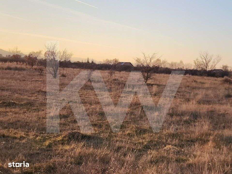 Oportunitate investitie | De vanzare, 3 parcele de 560 mp. - Imagine principală: 2/5