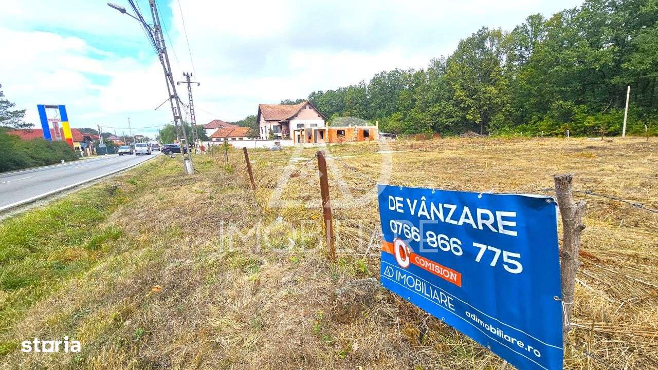 Teren intravilan Dragoeni, deschidere 89 m la DN67 - Imagine principală: 4/9