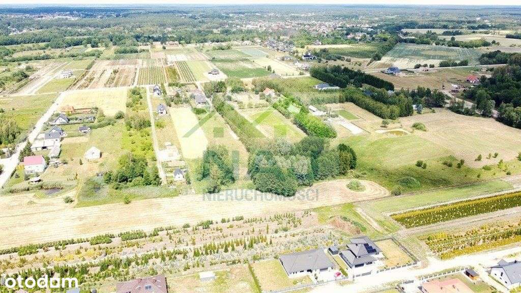 Działka wśród drzew w Kurianach-5