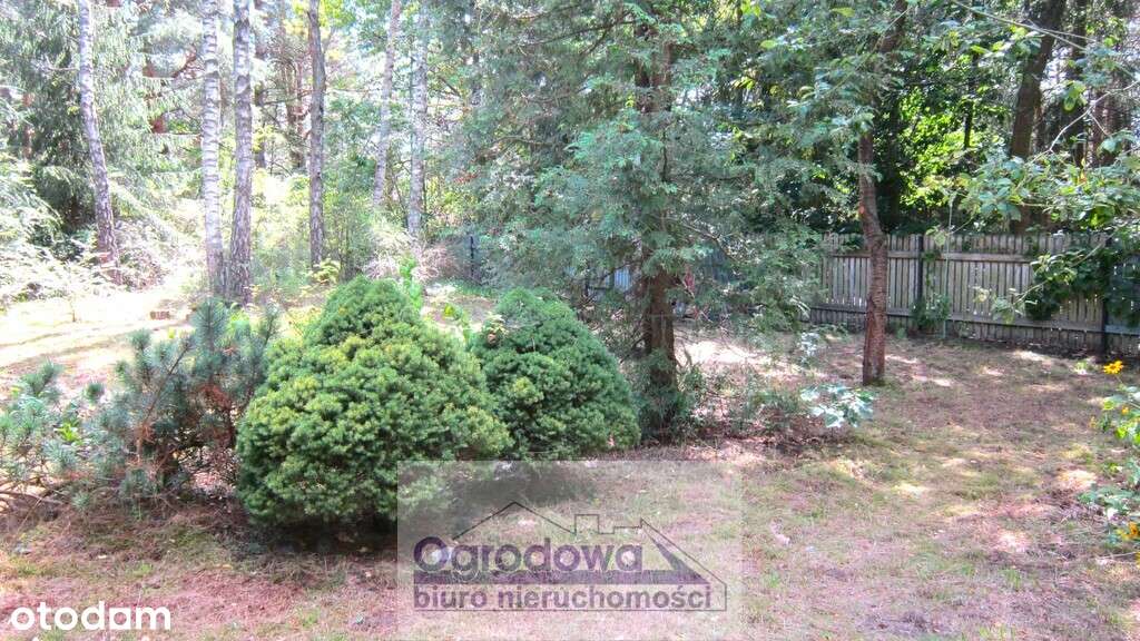 Dom w leśnej okolicy, 6 cio izbowy-14